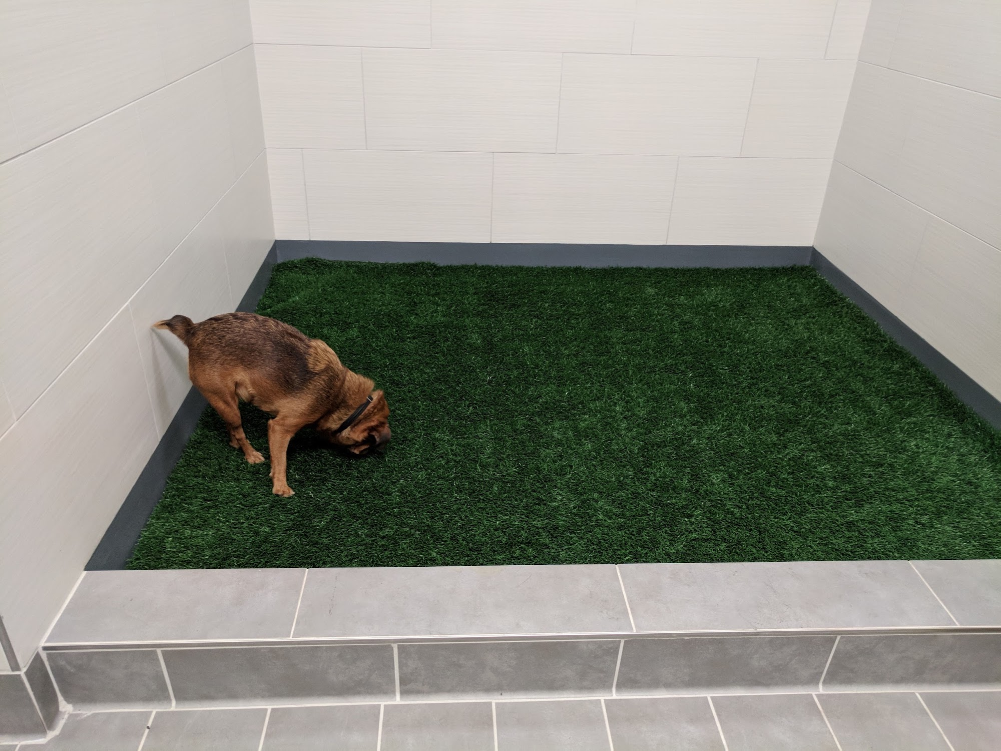 Pet Relief Area