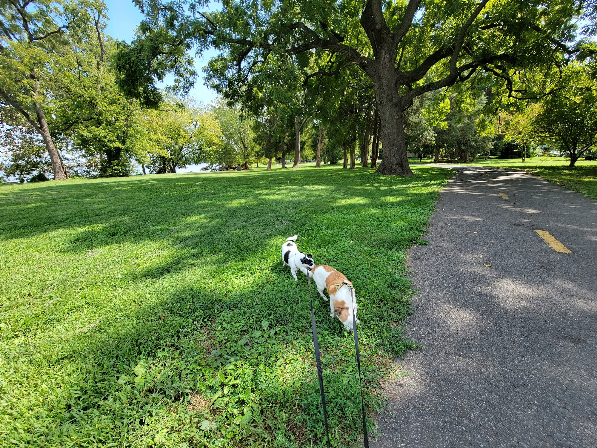 Mt Vernon Trail Public Restroom